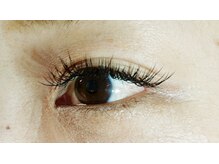 ベリー(Berry)/フラットラッシュ120本