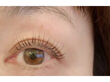 アンの家/リフトアップロッド↑