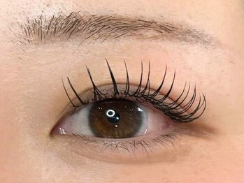 ユニ ラッシュ(Uni.Lash)/フラットラッシュ180本