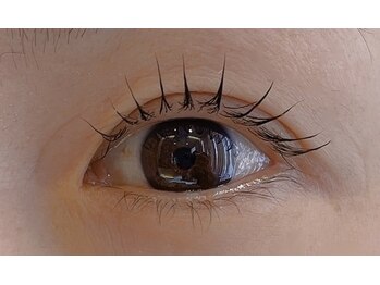 ラック 由比ヶ浜店(LUCK)/デザインラッシュリフト