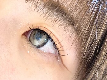 シャルム(Charme)/シングル　80本