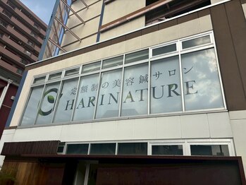 群馬高崎美容鍼灸院ハリナチュレ【小顔矯正/美容鍼】【3/1NewOpen(予定)】/ハリナチュレ