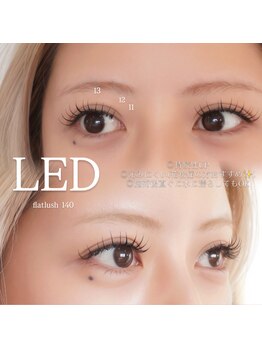 ステイゴールド(STAY GOLD)/フラットラッシュ140本