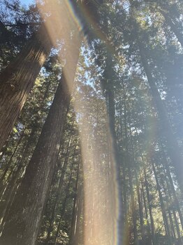 チェッコリ(CHECCOLY)/室生龍穴神社へ♪