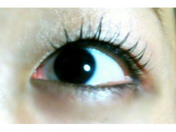 フラワー(Flower)/まつ毛カール（上下）