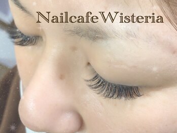 ウィステリア(Wisteria)/ボリュームラッシュ360束