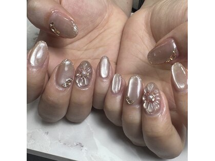 ポプラの木の写真