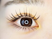 サーリアイラッシュ(Saari eyelash)/LEDフラットラッシュ上下