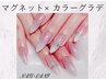 上品ちゅるん♪【オフ０円】マグネット×カラーグラデーション 6990円