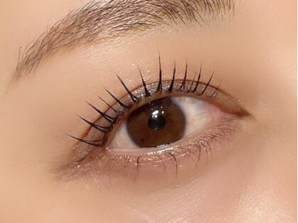 ルコル テイラー オブ ビューティー 新所沢(LuCoLu)の写真