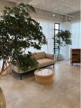 キトウミ(kitoumi)/枝物のグリーン