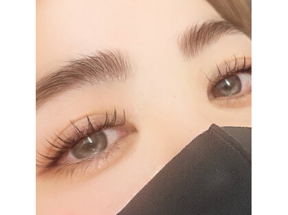 ヴェリアス(VARIOUS)の写真