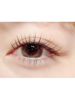 初めての方にオススメ