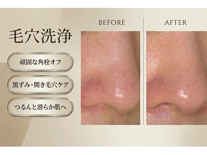 アザレア(Azalea)の写真