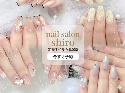 シロ(shiro)の写真