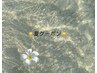 夏限定♪夏の天敵！蒸れ防止のVIO脱毛