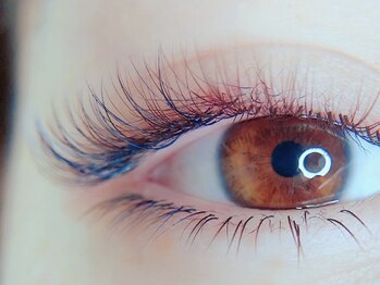 ボニータラッシュアンドブロウ(Bonita.LASH&BROW)/上下で華やかに♪