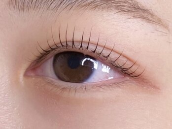 ハロウ/まつ毛パーマ 上のみ nanase担当