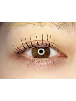 初めての方にオススメ