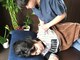 那覇頭痛整体院 YOLOの写真