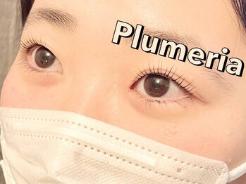 プルメリア(Plumeria)の写真/一流の技術力によるモチの良さが人気◎お洒落で大人なプライベ-トサロンで贅沢なひと時♪まつ毛パーマ¥5300