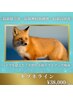 顎シャキ叶う！【脂肪撃退,表情筋強】キツネライン造形