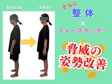 MBF整体院 宇都宮院の雰囲気（「体を変える、整体で痩せる、当店”美容矯正”技術紹介」）