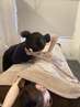 【徹底体調改善】YUIIGIE全身癒着ほぐし60分+カウンセリング¥17600→