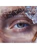 期間限定!!【圧倒的モチ◎LEDマツエク】フラットラッシュ100本（オフ込）