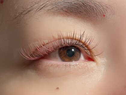 リプリ(RePuli)の写真