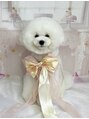 ビューティサロンミルク おてんばやんちゃお嬢のぷーちゃん!!大人気です☆
