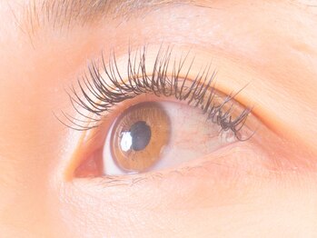 ヘアードイル(hair doyle)/まつ毛エクステ2