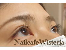 ウィステリア(Wisteria)/セーブル120本