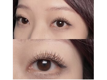 パンダアイラッシュ 上野(panda eyelash)/フラットラッシュ/ワンホン