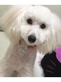 ビューティサロンミルク みるくです。名前が同じなので、呼ぶと2匹が飛んできます笑