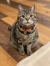 癒しの隠れ家サロン シュシュ(CHOU*CHOU)&nbsp;スズキ ロワ