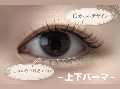 ラフェリア(Raffelia)の写真