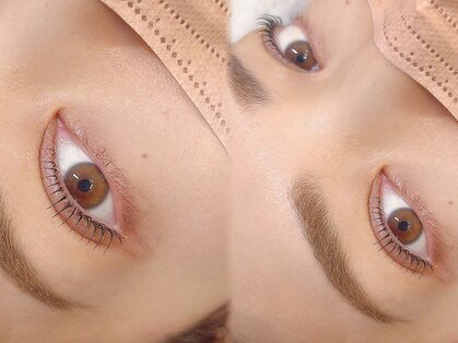 エミュ(emu)の写真