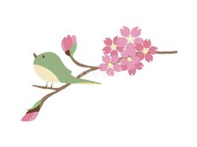 ハナ(HANAA)の雰囲気(春の紫外線対策はお早めに…)