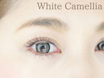 ホワイトカメリア(White Camellia)の写真/初めての方にも丁寧なカウンセリングで不安を払拭◎一人一人に合ったデザインをご提案！理想の目元に♪