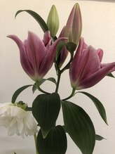 ルアナ 田町三田店(Luana)&nbsp;金子 