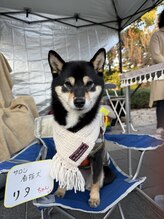 ベイビーズブレス(Baby's Breath)/マルシェにも出店してます！