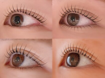 タビーリッタ(tabby litta)の写真