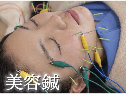 ベル(Belle)の写真