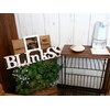 ブリンクス(BLInkSS)のお店ロゴ