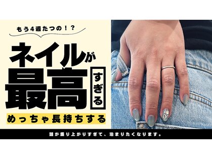 エルモ(elMo.)の写真