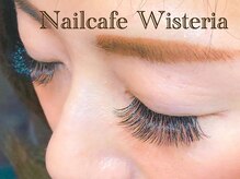 ウィステリア(Wisteria)/3Dボリュームラッシュ300本