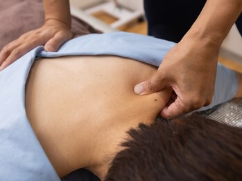 ジェミニ 鍼灸マッサージ院(Gemini)/もみもみ