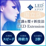 ルピナス(Lupinus)