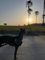 ザ ヘッドスパ トヨハシ(TOYOHASHI) 我が家の愛犬*イタリアングレーハウンドのルイくん